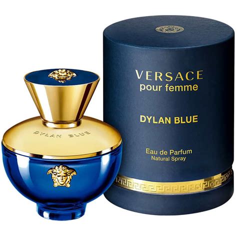 dylan blue eau spray versace|Versace Dylan Blue perfume 100ml.